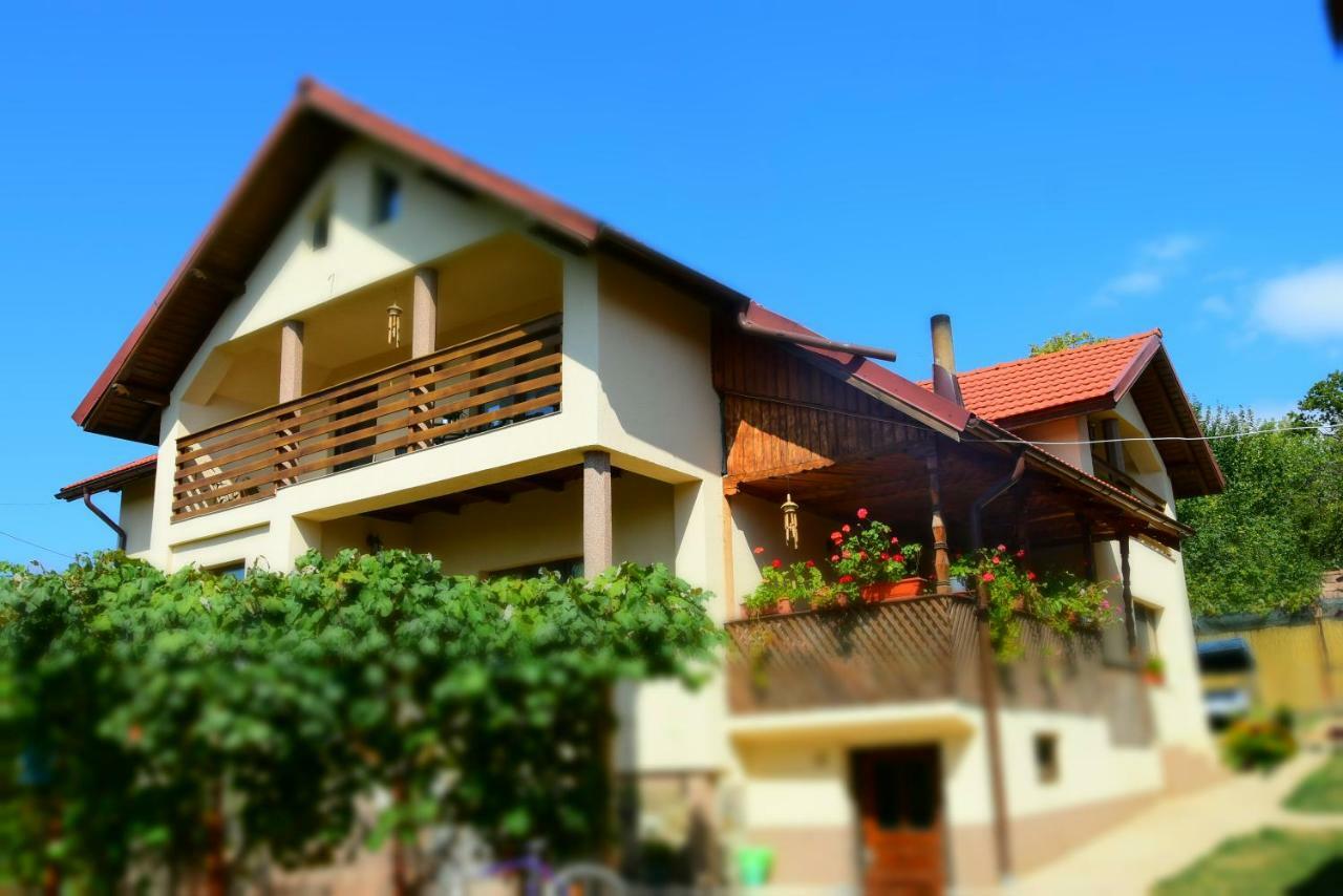 Casa Smeilor Horezu Exterior foto