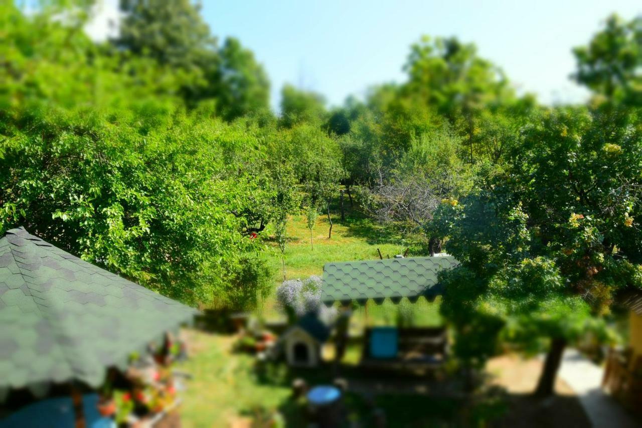 Casa Smeilor Horezu Zimmer foto